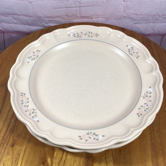 Vintage Pfaltzgraff Remembrance Dinner Plates - Set of 2 - Picture 3 of 6